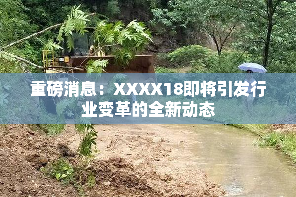 重磅消息：XXXX18即将引发行业变革的全新动态