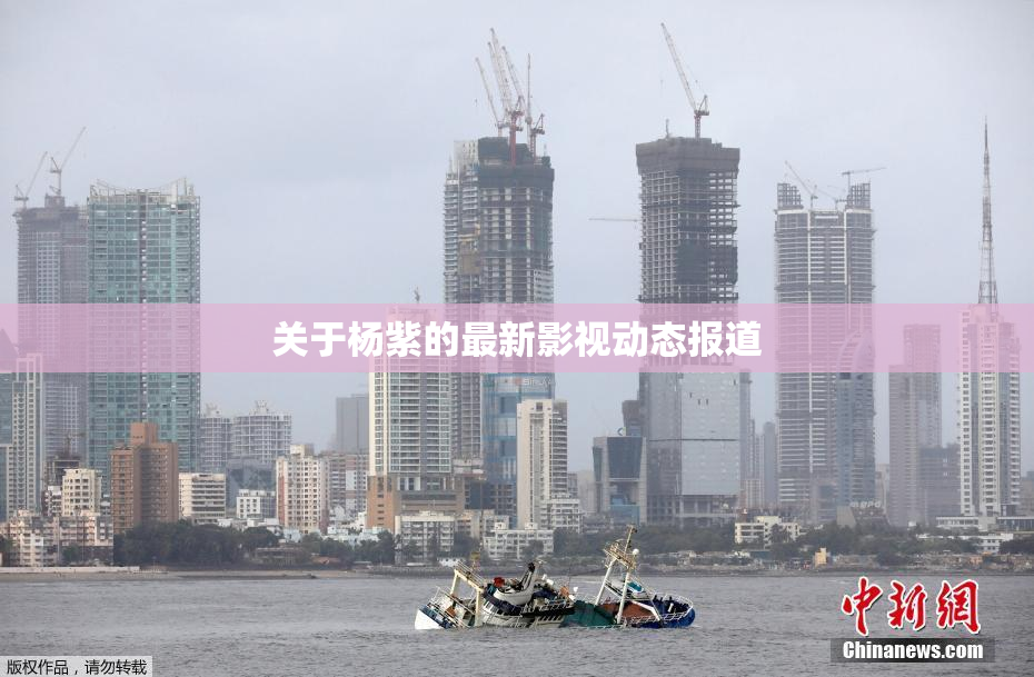 关于杨紫的最新影视动态报道
