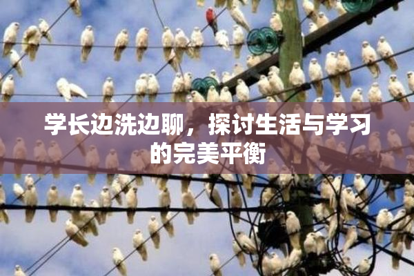 学长边洗边聊，探讨生活与学习的完美平衡