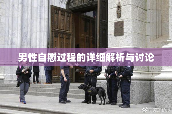 男性自慰过程的详细解析与讨论