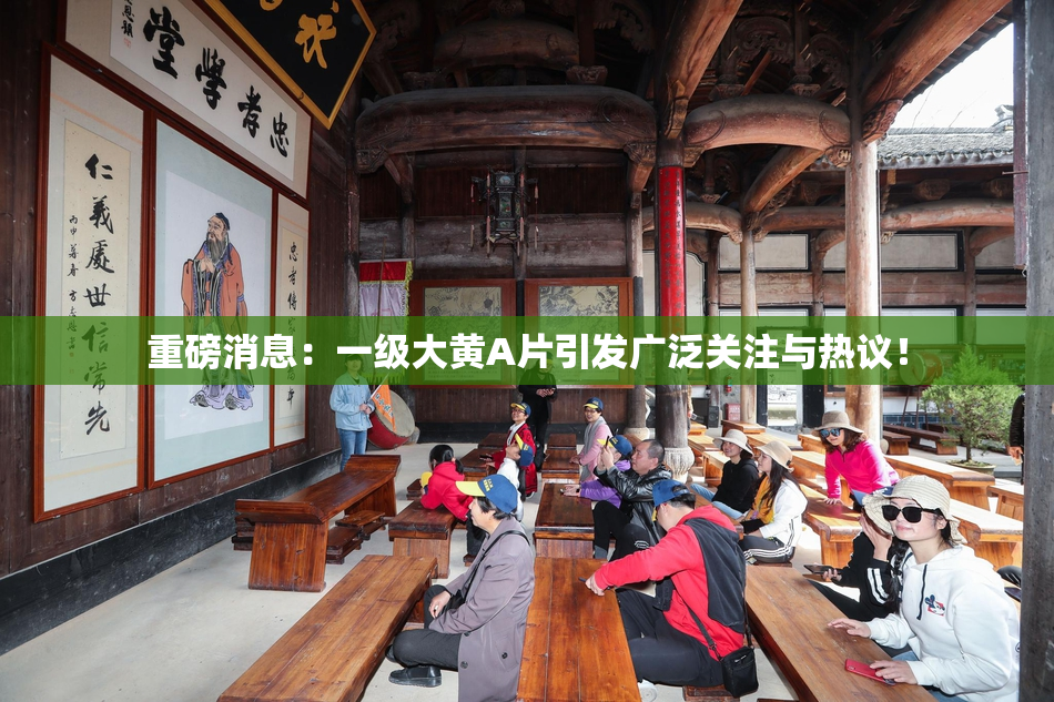 重磅消息：一级大黄A片引发广泛关注与热议！