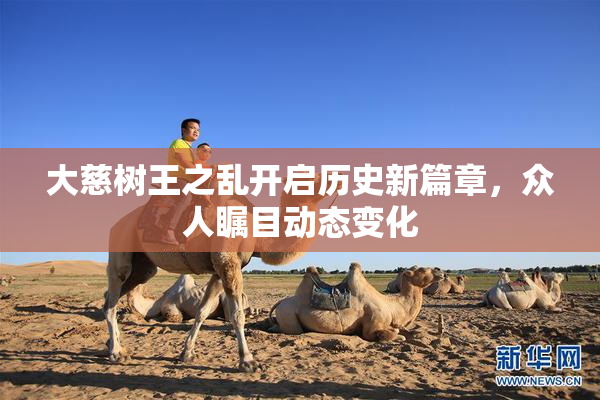 大慈树王之乱开启历史新篇章，众人瞩目动态变化