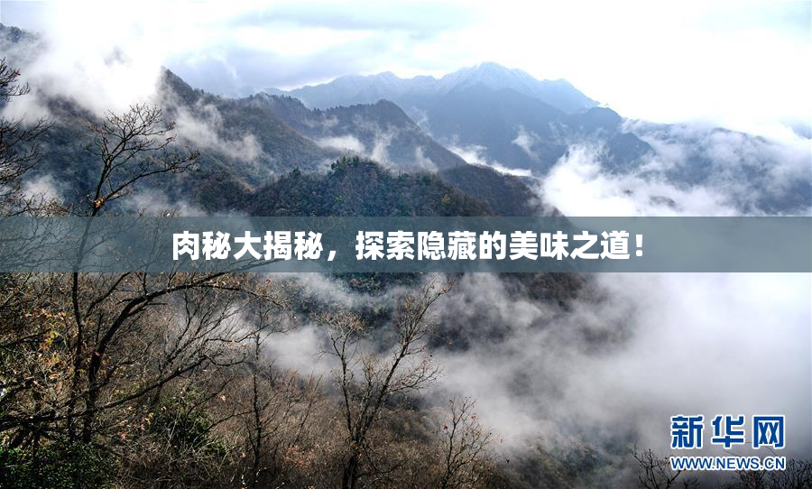 肉秘大揭秘，探索隐藏的美味之道！