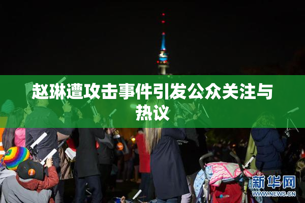 赵琳遭攻击事件引发公众关注与热议