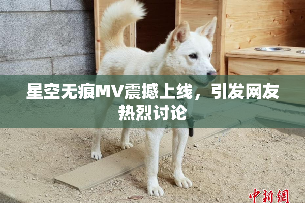 星空无痕MV震撼上线，引发网友热烈讨论