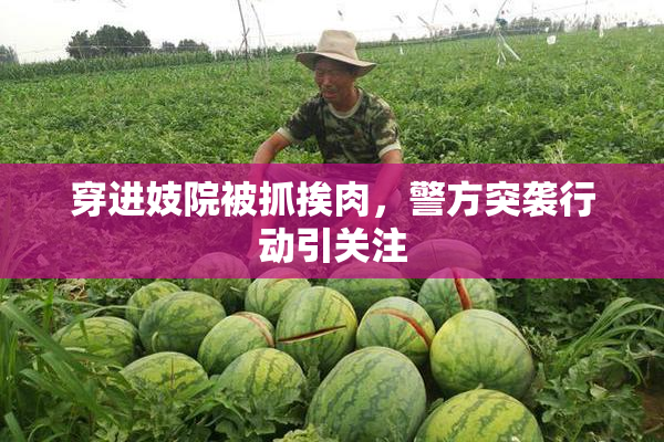 穿进妓院被抓挨肉，警方突袭行动引关注