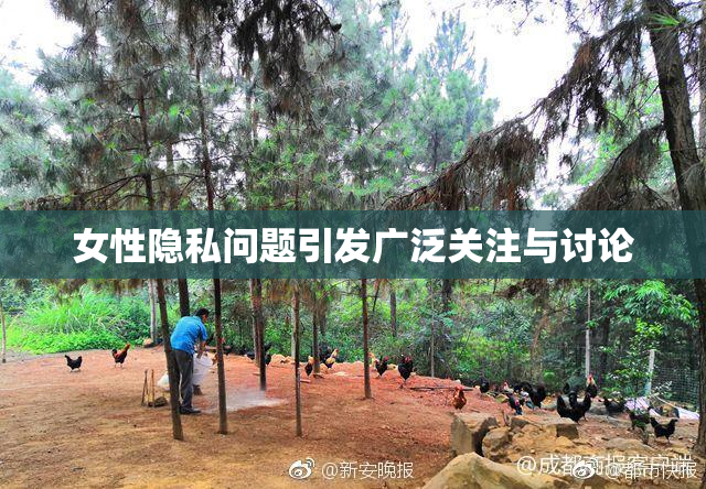 女性隐私问题引发广泛关注与讨论
