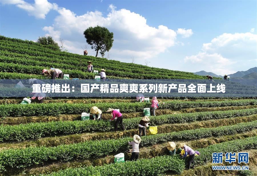 重磅推出：国产精品爽爽系列新产品全面上线