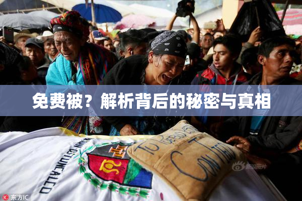 免费被？解析背后的秘密与真相
