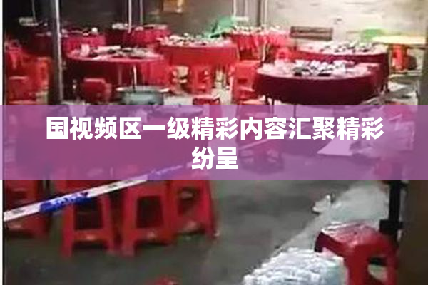 国视频区一级精彩内容汇聚精彩纷呈