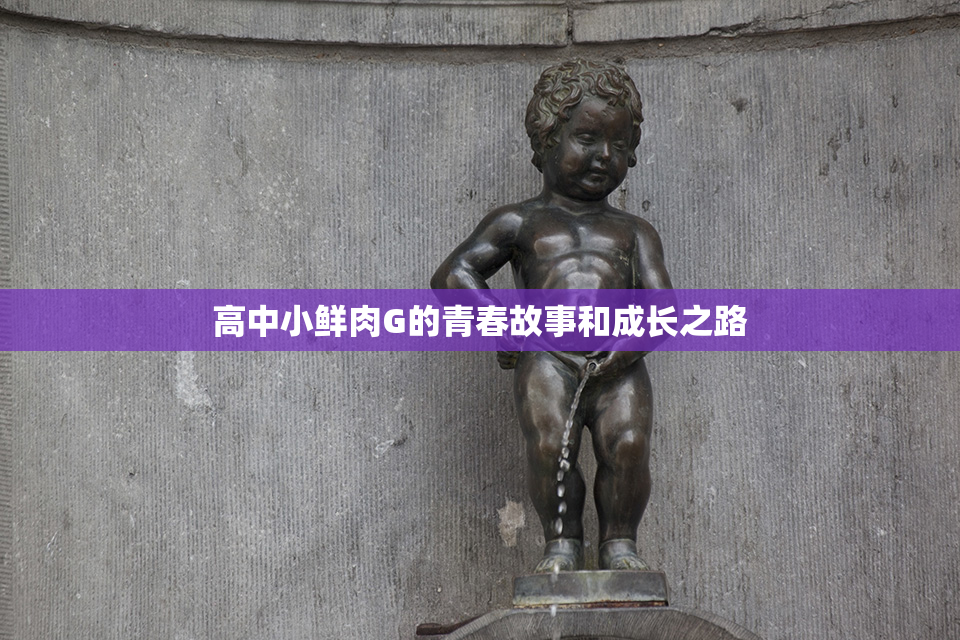 高中小鲜肉G的青春故事和成长之路