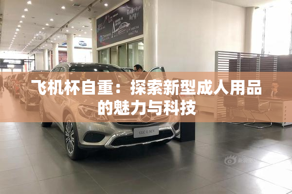 飞机杯自重：探索新型成人用品的魅力与科技