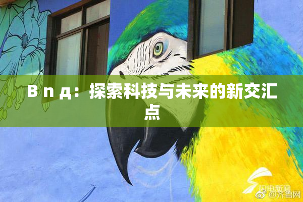 B n д：探索科技与未来的新交汇点