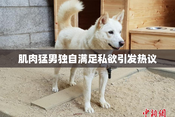 肌肉猛男独自满足私欲引发热议