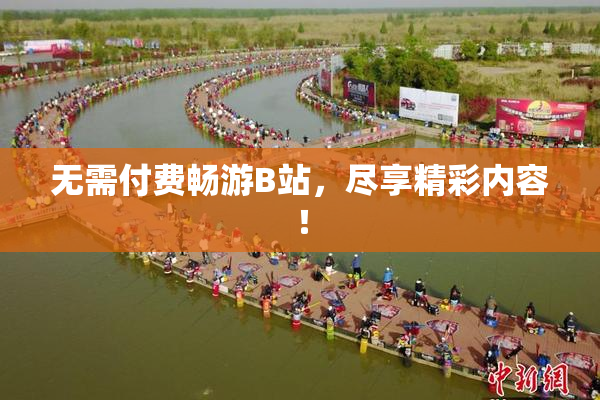 无需付费畅游B站，尽享精彩内容！