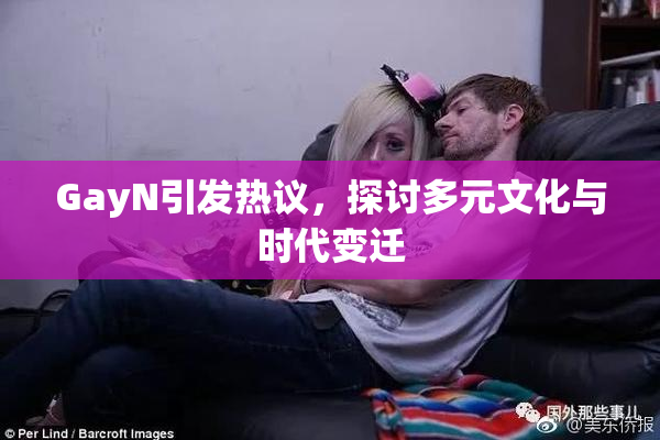GayN引发热议，探讨多元文化与时代变迁