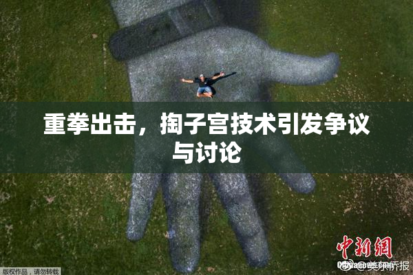 重拳出击，掏子宫技术引发争议与讨论