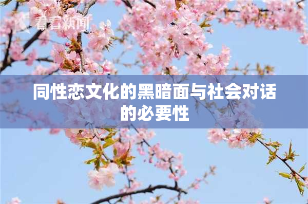 同性恋文化的黑暗面与社会对话的必要性