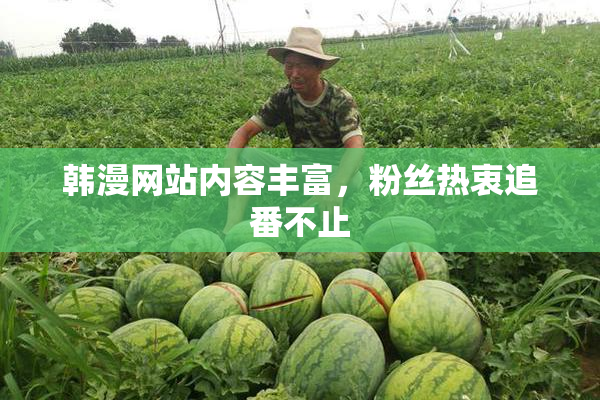 韩漫网站内容丰富，粉丝热衷追番不止
