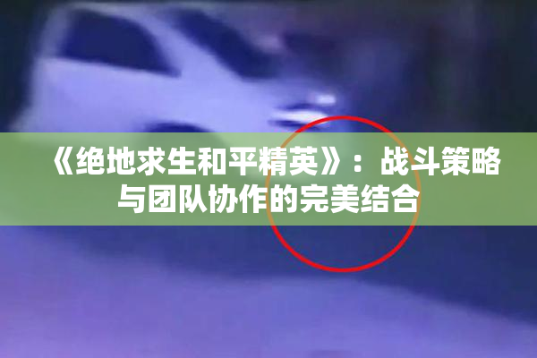 《绝地求生和平精英》：战斗策略与团队协作的完美结合