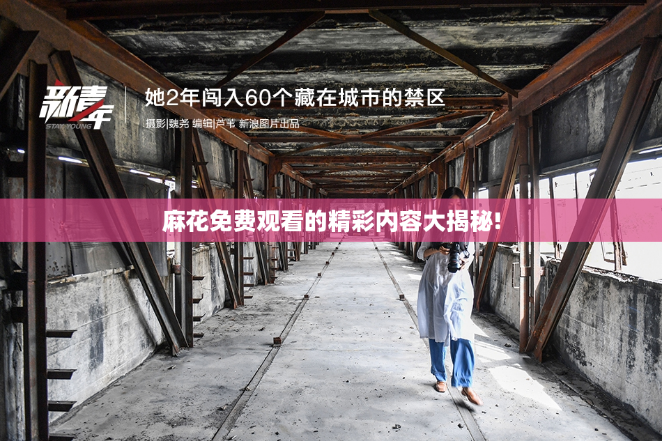 麻花免费观看的精彩内容大揭秘!