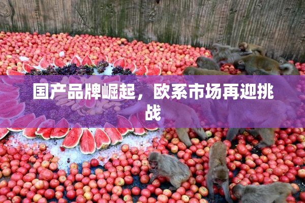国产品牌崛起，欧系市场再迎挑战