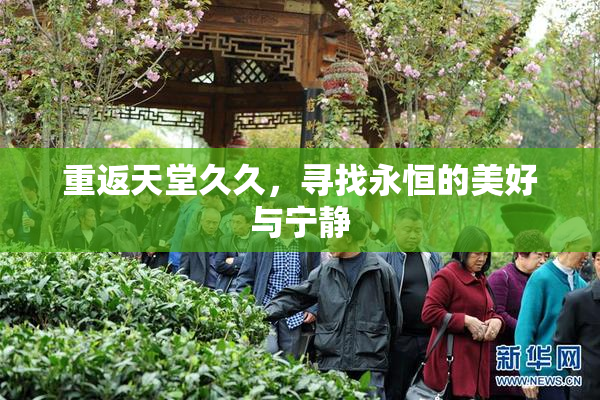 重返天堂久久，寻找永恒的美好与宁静