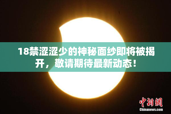 18禁涩涩少的神秘面纱即将被揭开，敬请期待最新动态！