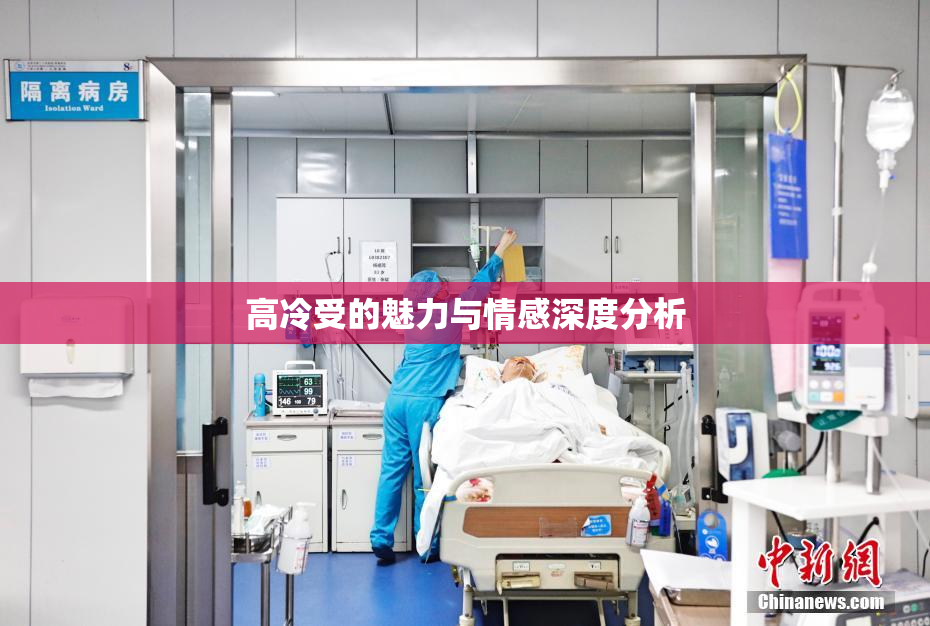 高冷受的魅力与情感深度分析