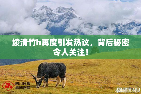 绫清竹h再度引发热议，背后秘密令人关注！