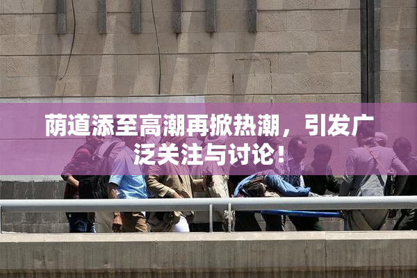 荫道添至高潮再掀热潮，引发广泛关注与讨论！