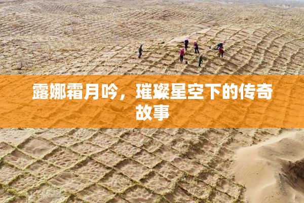 露娜霜月吟，璀璨星空下的传奇故事