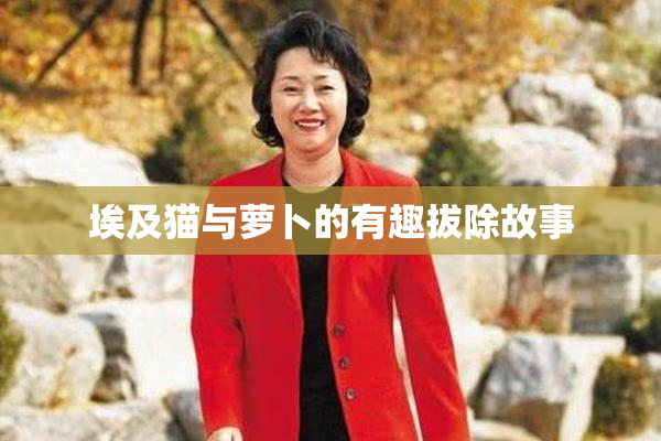 埃及猫与萝卜的有趣拔除故事