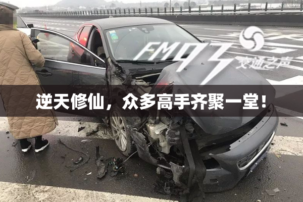 逆天修仙，众多高手齐聚一堂！