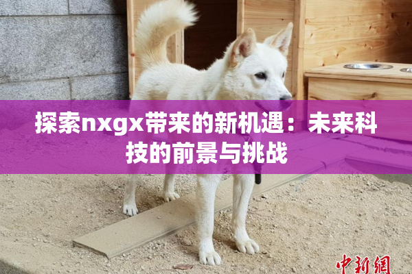 探索nxgx带来的新机遇：未来科技的前景与挑战