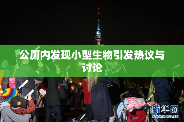 公厕内发现小型生物引发热议与讨论