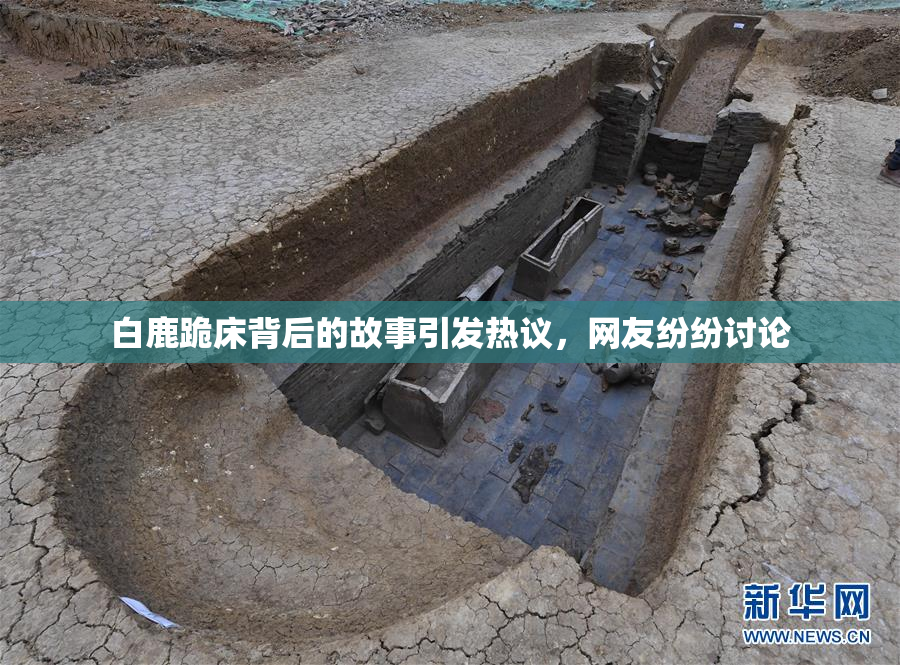 白鹿跪床背后的故事引发热议，网友纷纷讨论