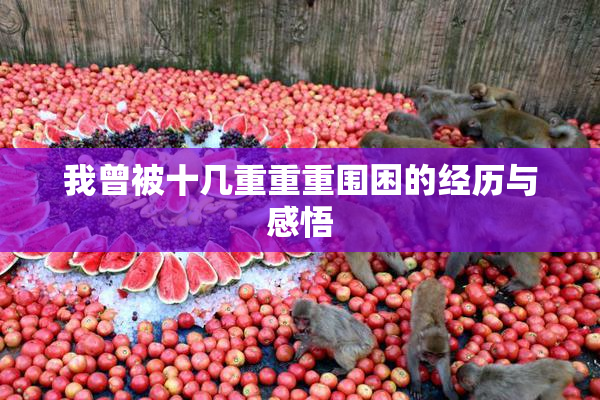 我曾被十几重重重围困的经历与感悟