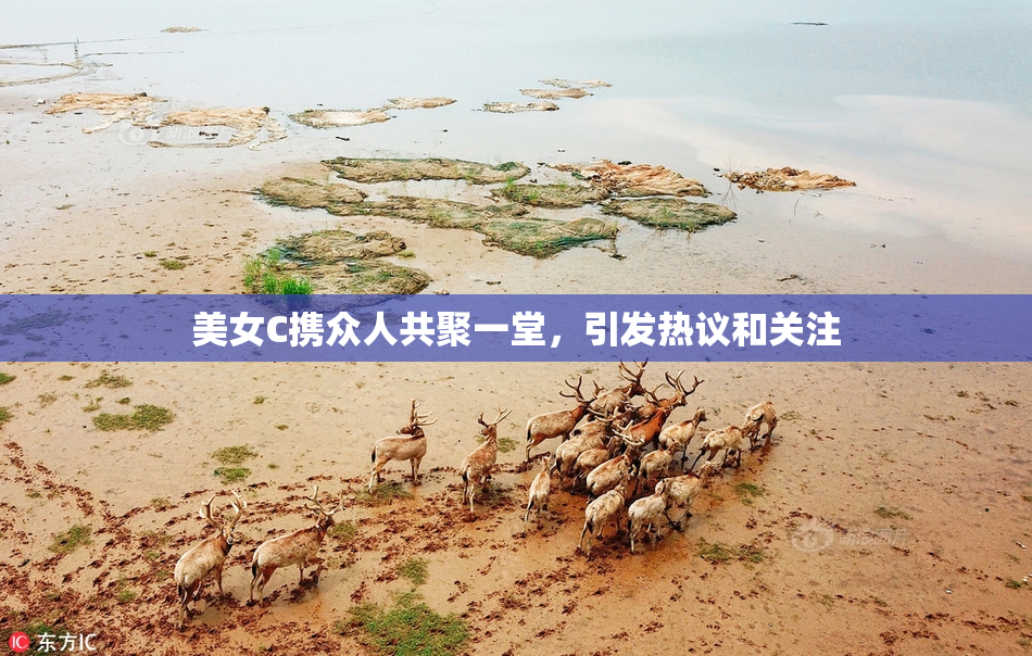 美女C携众人共聚一堂，引发热议和关注