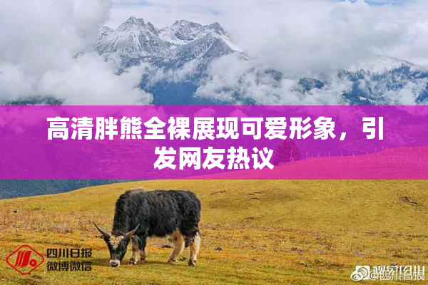 高清胖熊全裸展现可爱形象，引发网友热议