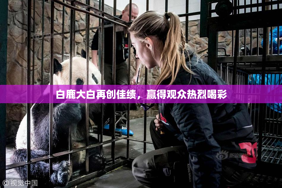 白鹿大白再创佳绩，赢得观众热烈喝彩