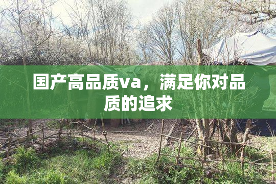 国产高品质va，满足你对品质的追求