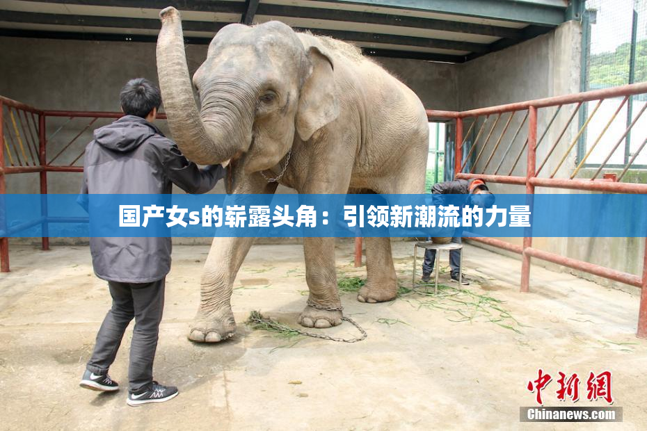 国产女s的崭露头角：引领新潮流的力量