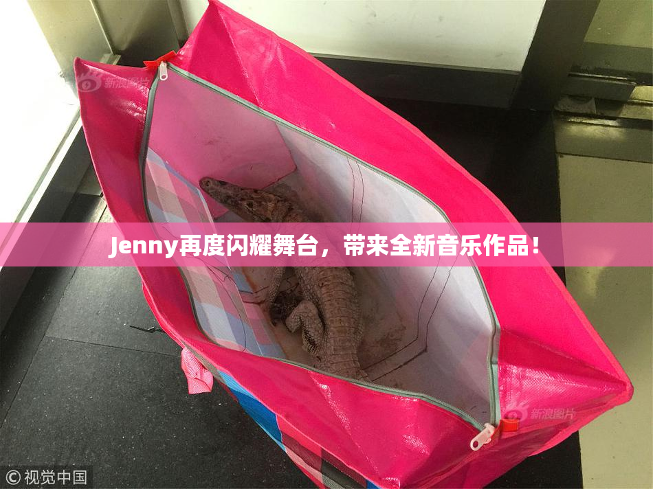 Jenny再度闪耀舞台，带来全新音乐作品！