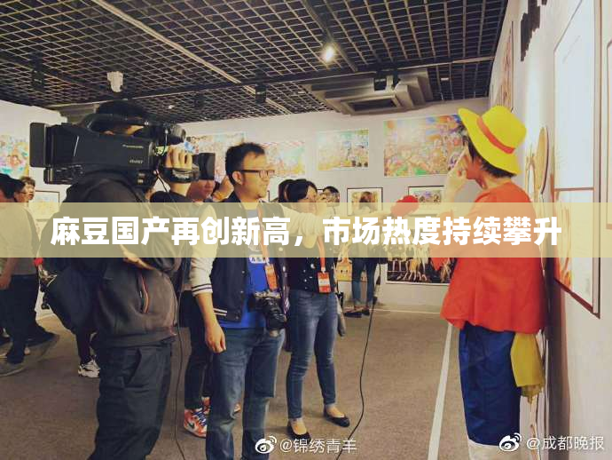 麻豆国产再创新高，市场热度持续攀升