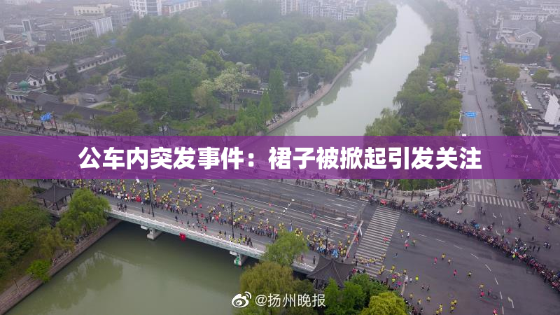 公车内突发事件：裙子被掀起引发关注