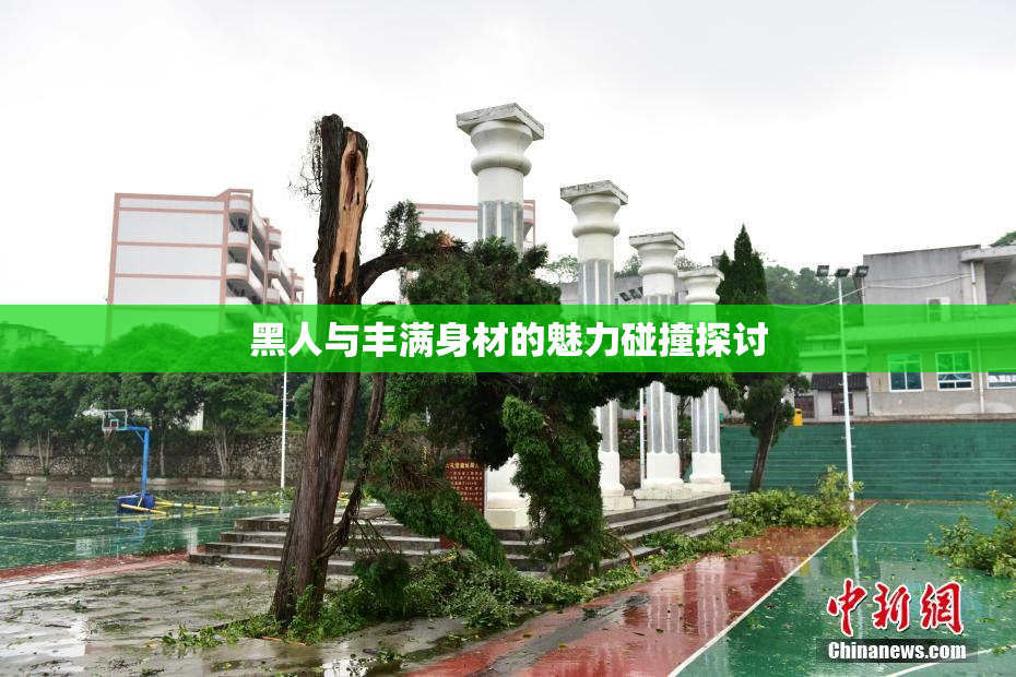 黑人与丰满身材的魅力碰撞探讨