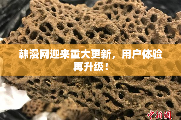 韩漫网迎来重大更新，用户体验再升级！