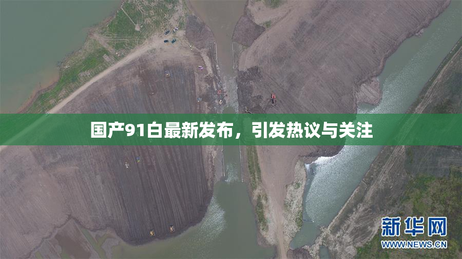 国产91白最新发布，引发热议与关注
