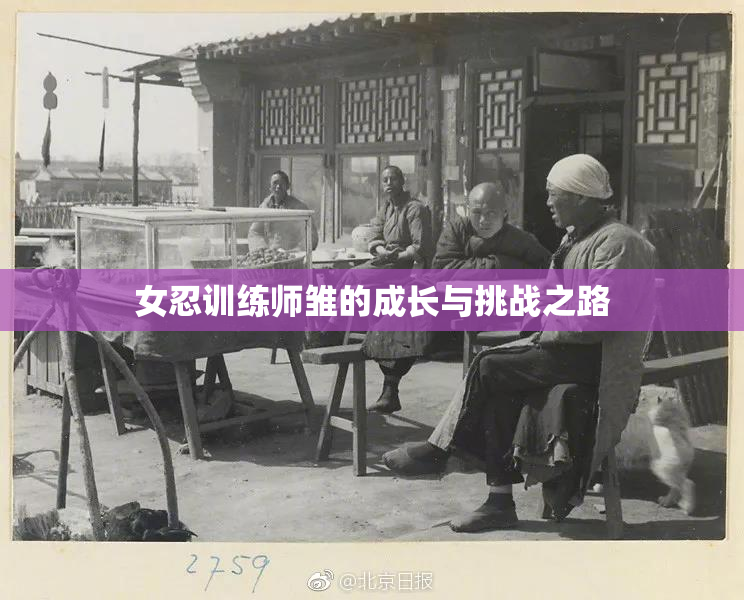 女忍训练师雏的成长与挑战之路